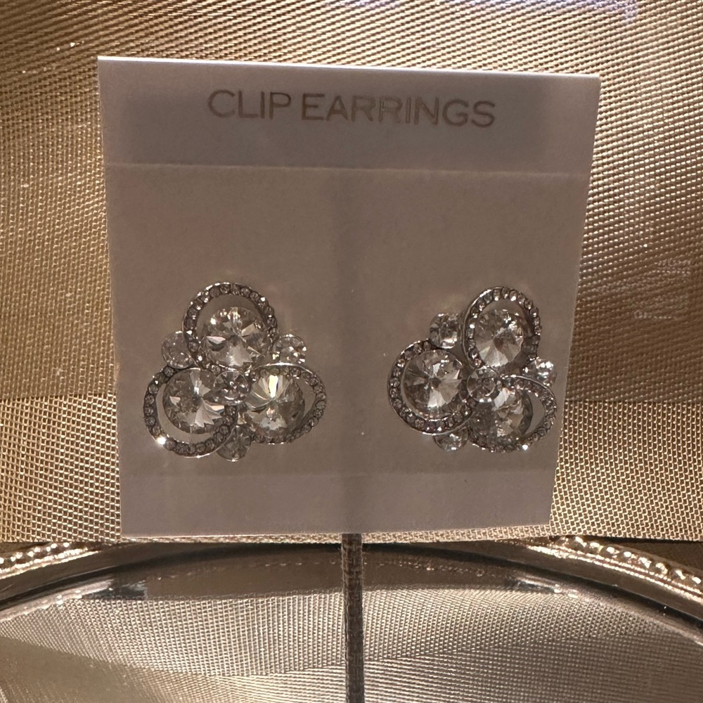 Elegant Silver Clip Earrings